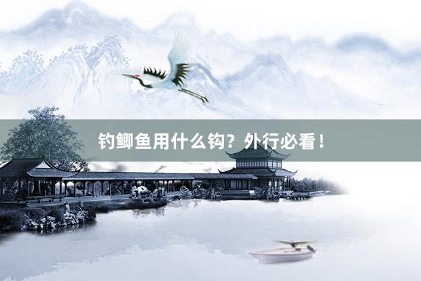 钓鲫鱼用什么钩？外行必看！